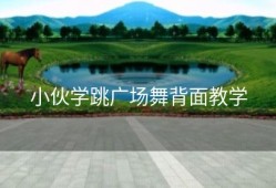 小伙学跳广场舞背面教学