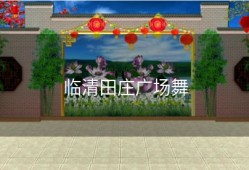 临清田庄广场舞