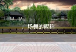 广场舞的昵称