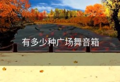 有多少种广场舞音箱