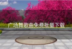 广场舞歌曲免费批量下载