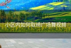 小区内如何取缔广场舞视频