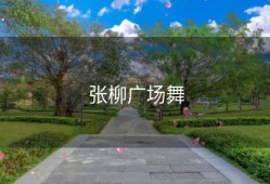 张柳广场舞