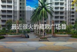 最近很火的藏歌广场舞