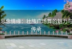 思念情缘：壮族广场舞的魅力与传承