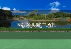 下载领头跳广场舞