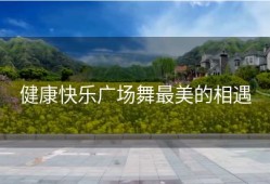 健康快乐广场舞最美的相遇