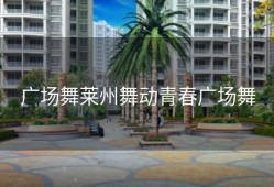 广场舞莱州舞动青春广场舞