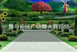 舞与伦比广场舞大赛视频