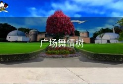 广场舞情树