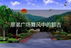 廖弟广场舞风中的额吉