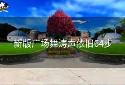 新版广场舞涛声依旧64步