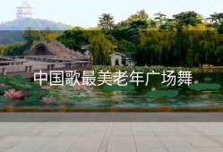 中国歌最美老年广场舞