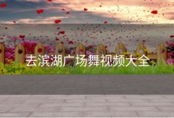 去滨湖广场舞视频大全