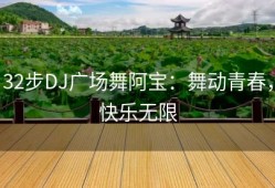 32步DJ广场舞阿宝：舞动青春，快乐无限