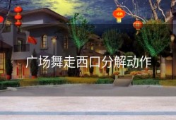 广场舞走西口分解动作