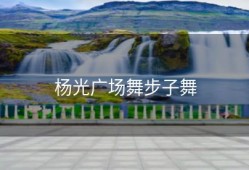 杨光广场舞步子舞