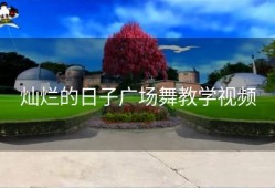 灿烂的日子广场舞教学视频