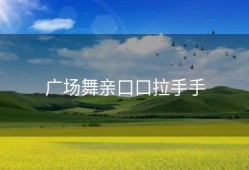 广场舞亲口口拉手手