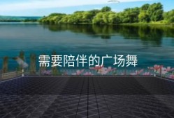 需要陪伴的广场舞