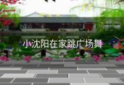 小沈阳在家跳广场舞