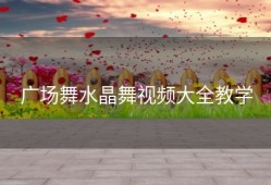 广场舞水晶舞视频大全教学
