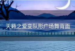 天籁之爱变队形广场舞背面