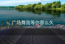 广场舞我等你那么久
