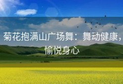 菊花抱满山广场舞：舞动健康，愉悦身心