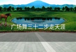 广场舞三十二步走天涯