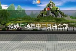 微妙广场舞中三舞曲全部