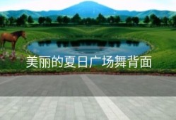 美丽的夏日广场舞背面