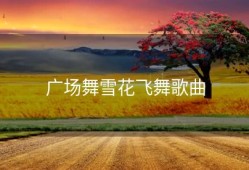 广场舞雪花飞舞歌曲