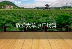 放爱大草原广场舞