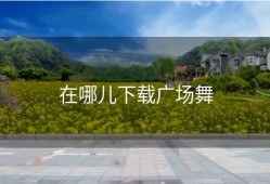 在哪儿下载广场舞