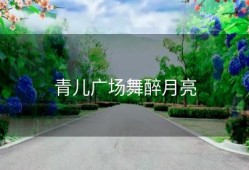 青儿广场舞醉月亮