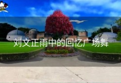 刘文正雨中的回忆广场舞