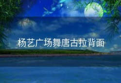 杨艺广场舞唐古拉背面