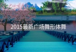 2015最新广场舞形体舞