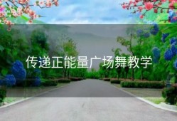 传递正能量广场舞教学