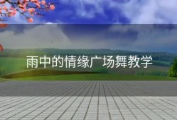 雨中的情缘广场舞教学
