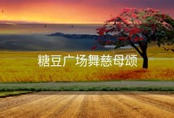 糖豆广场舞慈母颂