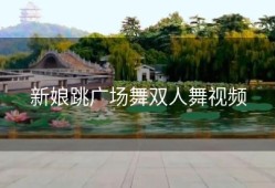 新娘跳广场舞双人舞视频