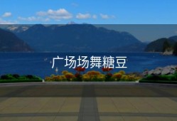 广场场舞糖豆
