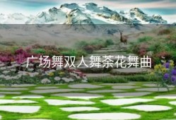 广场舞双人舞荼花舞曲
