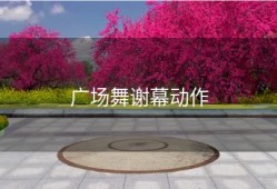 广场舞谢幕动作