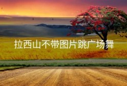 拉西山不带图片跳广场舞