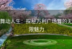 舞动人生：探秘万利广场舞的无限魅力