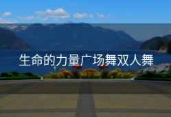 生命的力量广场舞双人舞