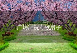 广场舞祝寿歌扇子